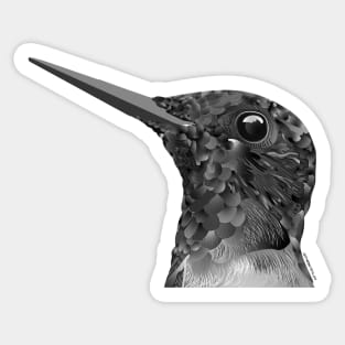 hummingbird Sticker